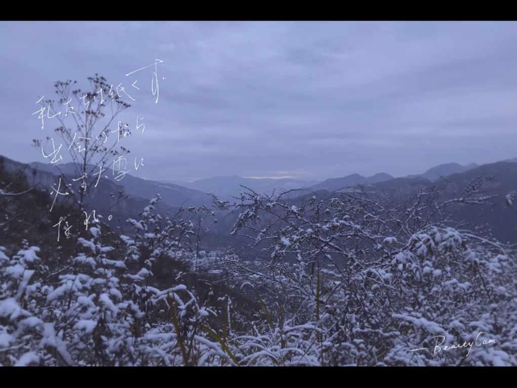 探寻窦心率不齐的诱因：左卡尼汀的不可或缺性